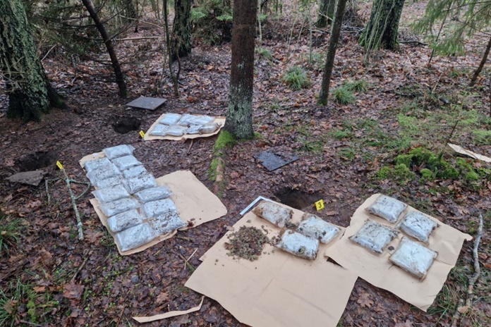 Kauno pareigūnai miške rado apie 15 kg kanapių