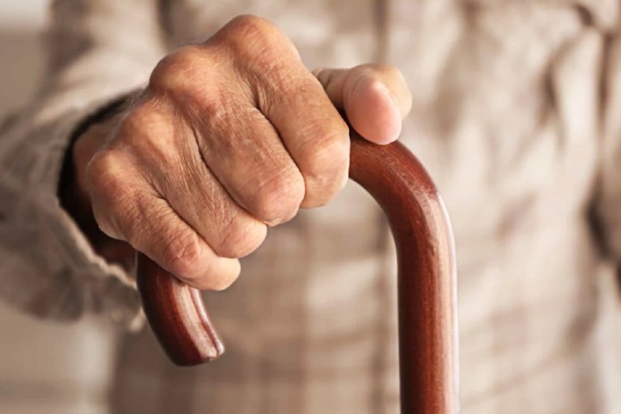Dirbti pensijoje skatins ne tik maža senatvės pensija: bijoma ir socialinės izoliacijos