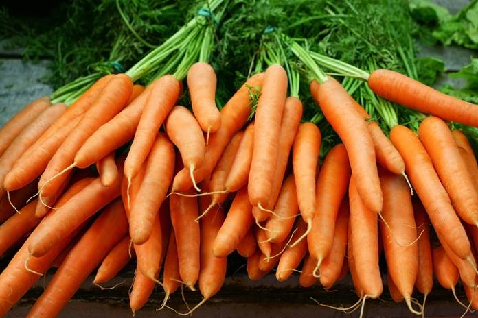 3 įdomybės apie morkas: kodėl jos oranžinės, kaip atgaivinti praradusias tvirtumą ir su kuo derinti ypač traškiose salotose
