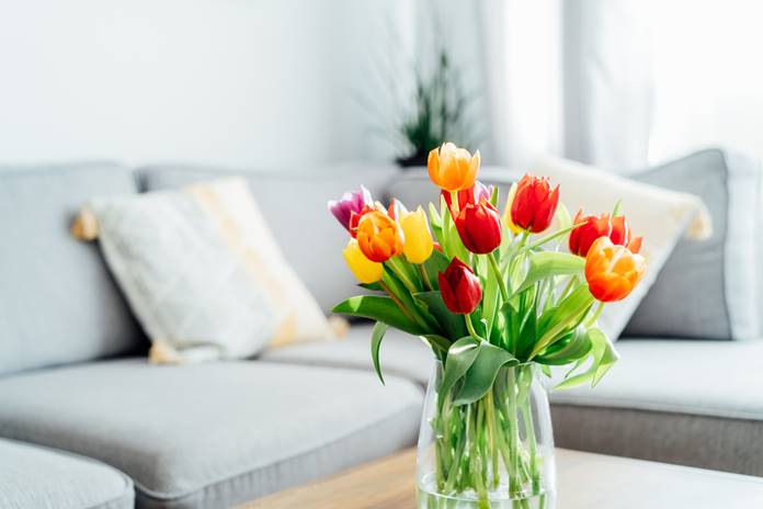 Tulpių vazoje niekada nelaikykite su šiomis gėlėmis: „Iki“ ekspertė paaiškino, kodėl